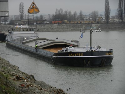 CALYPSO (1).JPG