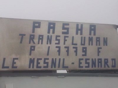 Pasha.jpg