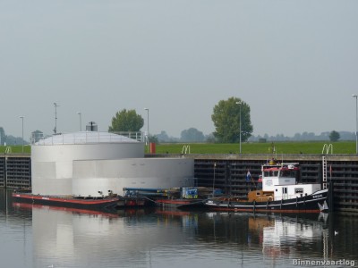 rodie-1-13-10-2010.jpg