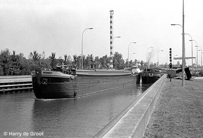 Cecilia 02314927 (4).jpg (346.23 Kio) Vu 3549 fois Cecilia 02314927 (4).jpg