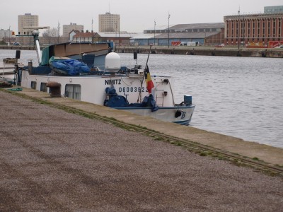 P1262092 (Copier).JPG