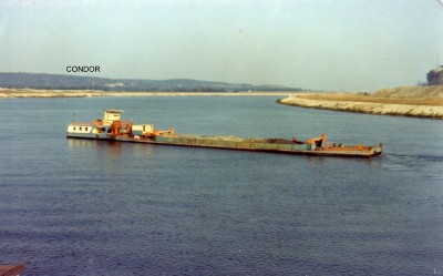 P 011-Condor (3).jpg