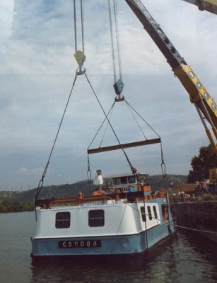P 011-Condor (2).jpg