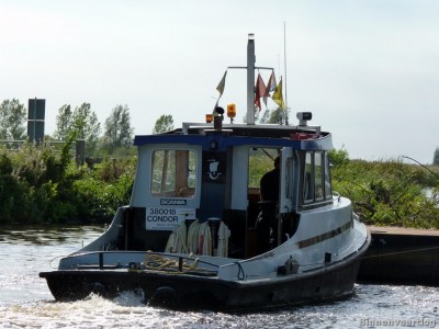 condor-3-16-09-2011.jpg