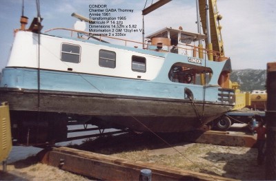 P 011-Condor  b.jpg