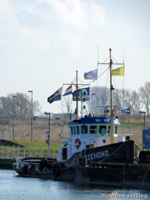 Zeehond-7-02-03-2014.jpg (98.12 Kio) Vu 2167 fois Zeehond-7-02-03-2014.jpg