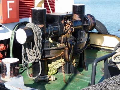 Zeehond-2-02-03-2014.jpg (240.06 Kio) Vu 2270 fois Zeehond-2-02-03-2014.jpg