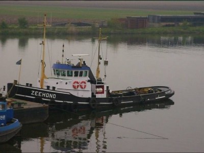 zeehond-1-19-02-2007-1.jpg