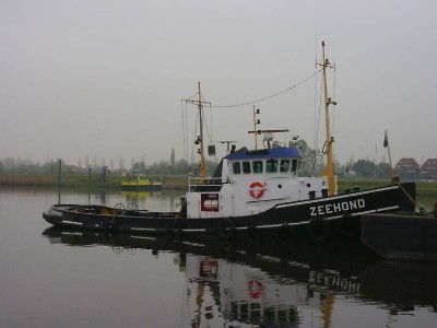 zeehond2190220072kd1.jpg