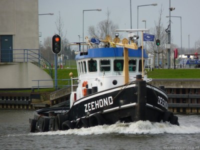 zeehond-1-04-01-2012.jpg