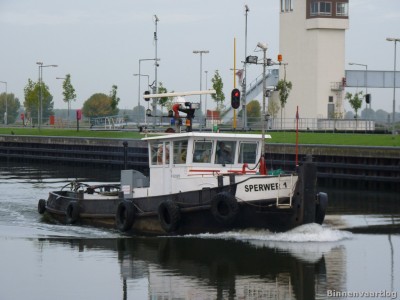 sperwer-1-2-21-10-2013.jpg