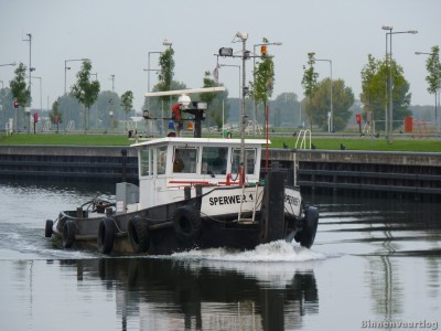 sperwer-1-1-21-10-2013.jpg