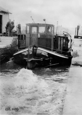 Vios 02307740 (1).jpg (62 Kio) Vu 1233 fois Vios 02307740 (1).jpg