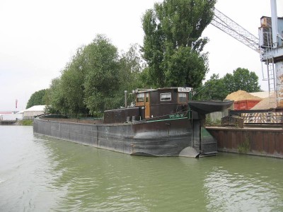 nestor.JPG (81.58 Kio) Vu 7809 fois nestor.JPG