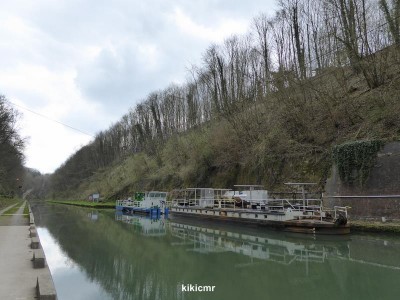 P1010087 (Copier).JPG (95.53 Kio) Vu 1260 fois P1010087 (Copier).JPG