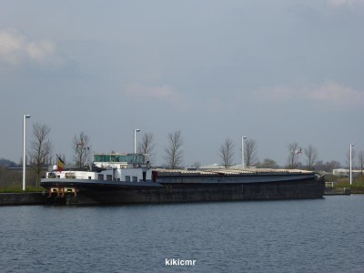 P1010569 (Copier).JPG (56.63 Kio) Vu 2246 fois P1010569 (Copier).JPG