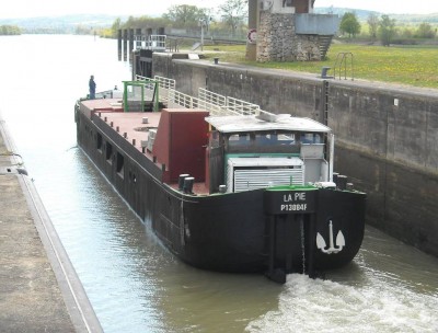 la pie.jpg (119.69 Kio) Vu 4450 fois la pie.jpg