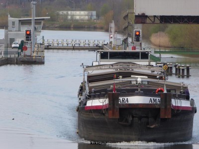 P1010393 (Copier).JPG (64.96 Kio) Vu 2646 fois P1010393 (Copier).JPG