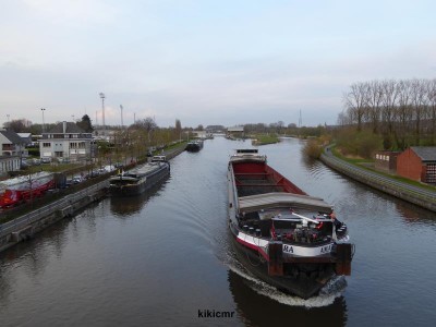 P1010395 (Copier).JPG (53.22 Kio) Vu 2646 fois P1010395 (Copier).JPG