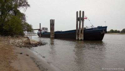 Neptunus-1-27-04-2014-coen-van-der-kammen.jpg