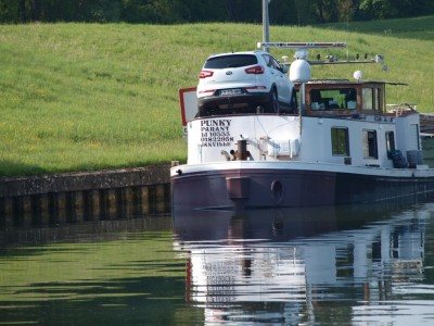 P5042661 (Copier).JPG (225.24 Kio) Vu 6734 fois P5042661 (Copier).JPG