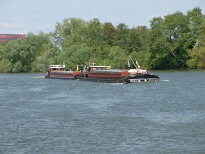 P5032643 (Copier).JPG