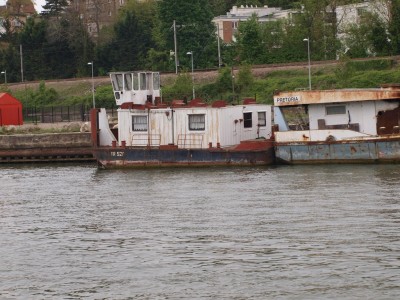 P4292361 (Copier).JPG (294.12 Kio) Vu 2054 fois P4292361 (Copier).JPG