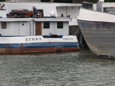 P4292355 (Copier).JPG (214.86 Kio) Vu 1263 fois P4292355 (Copier).JPG