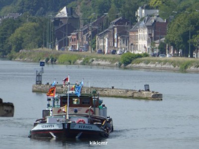 P1020558 (Copier).JPG (99.47 Kio) Vu 2886 fois P1020558 (Copier).JPG