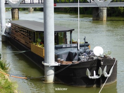 P1020821 (Copier).JPG (112.99 Kio) Vu 3158 fois P1020821 (Copier).JPG