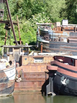 P1030007 (Copier) (4).JPG (219.74 Kio) Vu 5347 fois P1030007 (Copier) (4).JPG