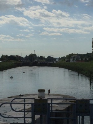 2014 06 10 baie de SOMME 050 [800x600].jpg