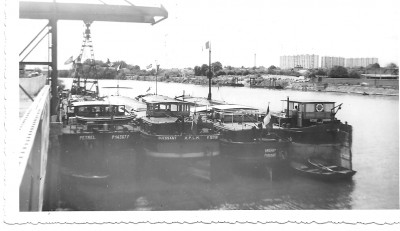 petrel.jpg (230.57 Kio) Vu 4907 fois petrel.jpg