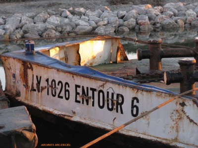 ENTOUR 6 LY-1926-F 1.jpg