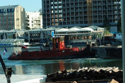 DSC_0446 (Medium).JPG