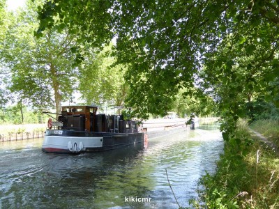 HENRIETTE canal des Vosges - Neuviller sur Moselle (20).JPG