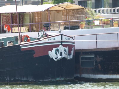 P6132766 (Copier).JPG