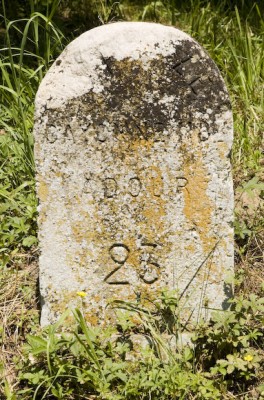 40285_010jpgcd52.jpg (201.5 Kio) Vu 2597 fois 40285_010jpgcd52.jpg