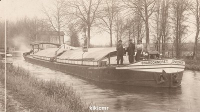 chardonneret (Copier).jpg (80.5 Kio) Vu 3681 fois chardonneret (Copier).jpg