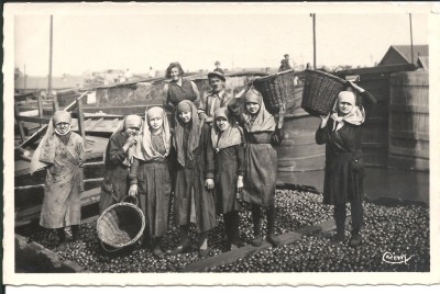 Denain les caffus.jpg (520 Kio) Vu 2107 fois Denain les caffus.jpg