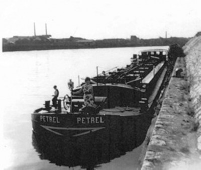 Petrel_t.jpg (85.39 Kio) Vu 4780 fois Petrel_t.jpg