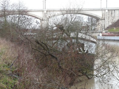 acrobate-veneux-rd.jpg (509.59 Kio) Vu 3863 fois acrobate-veneux-rd.jpg