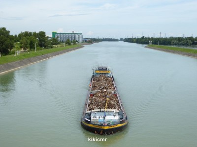 P1030470 (Copier).JPG (80.25 Kio) Vu 1091 fois P1030470 (Copier).JPG