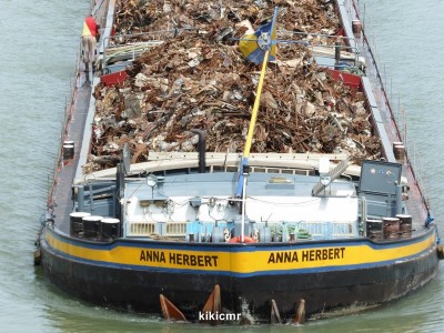 P1030467 (Copier).JPG (142.36 Kio) Vu 1091 fois P1030467 (Copier).JPG