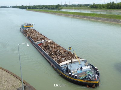 P1030471 (Copier).JPG (102.82 Kio) Vu 1091 fois P1030471 (Copier).JPG