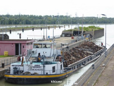 P1030483 (Copier).JPG (126.54 Kio) Vu 1091 fois P1030483 (Copier).JPG