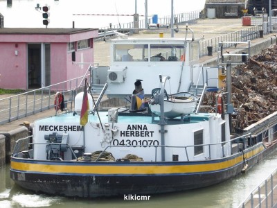 P1030484 (Copier).JPG (114.82 Kio) Vu 1091 fois P1030484 (Copier).JPG