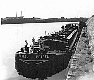 Petrel_ 3.jpg (91.48 Kio) Vu 4627 fois Petrel_ 3.jpg