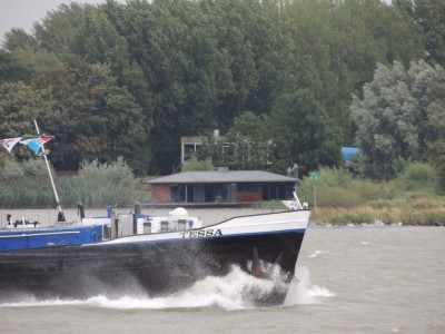 DSCN8406 (Copier).JPG (194.16 Kio) Vu 1583 fois DSCN8406 (Copier).JPG