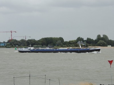 DSCN8407 (Copier).JPG (118.95 Kio) Vu 1582 fois DSCN8407 (Copier).JPG